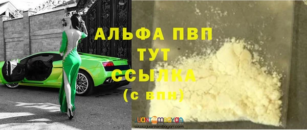PSILOCYBIN Кулебаки