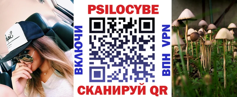 цена наркотик  Навашино  Галлюциногенные грибы Psilocybe 
